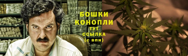 прущий лед Абаза
