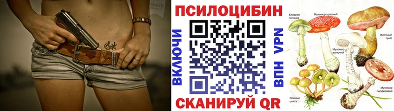 ОМГ ОМГ ТОР  Агидель  Галлюциногенные грибы мухоморы 